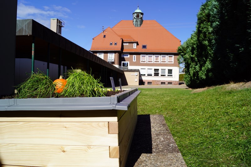 netzwerk natur, Übergabe des PflanzenWelten-Hochbeetes an die Grundschule Arnbach