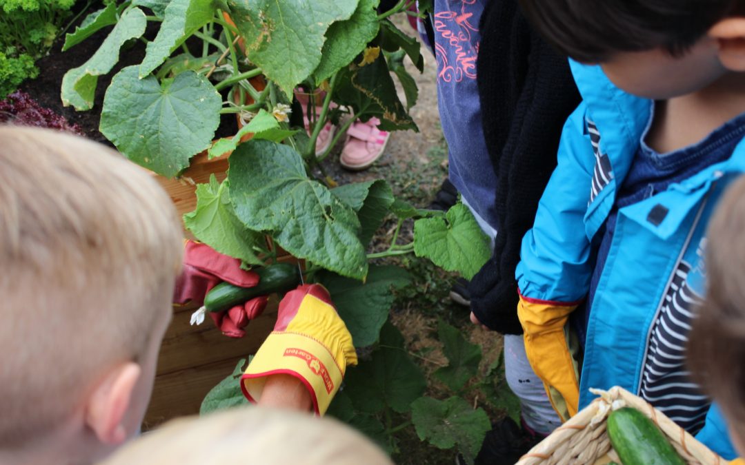 Marl – Kita Rappelkiste